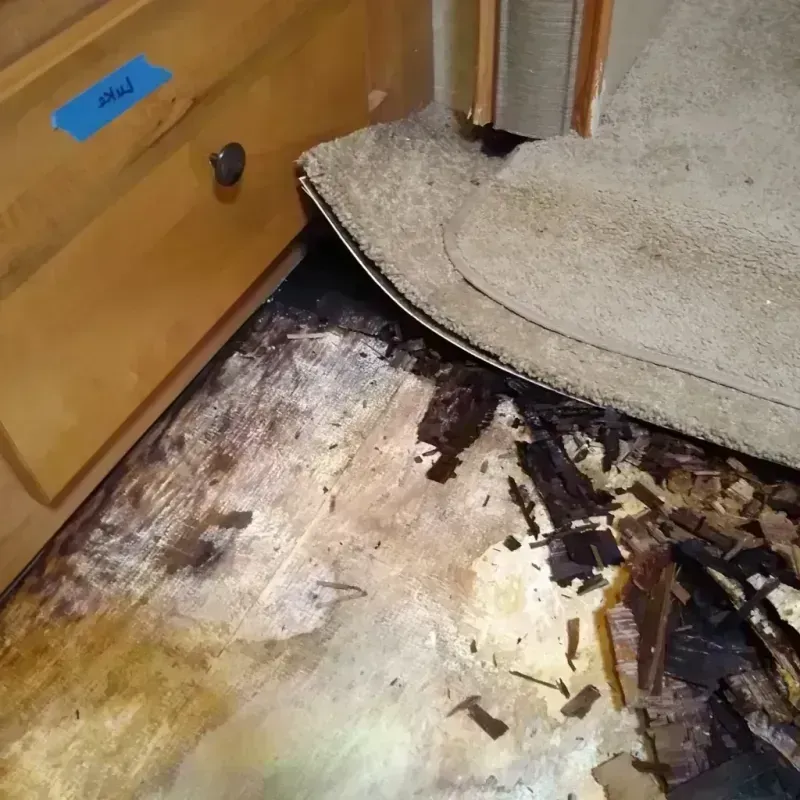 Wood Floor Water Damage in Warren, IL